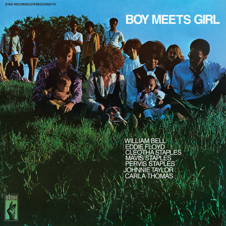 Various - Boy Meets Girl (LP)