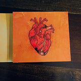 Beardfish - Songs For Beating Hearts (CD)