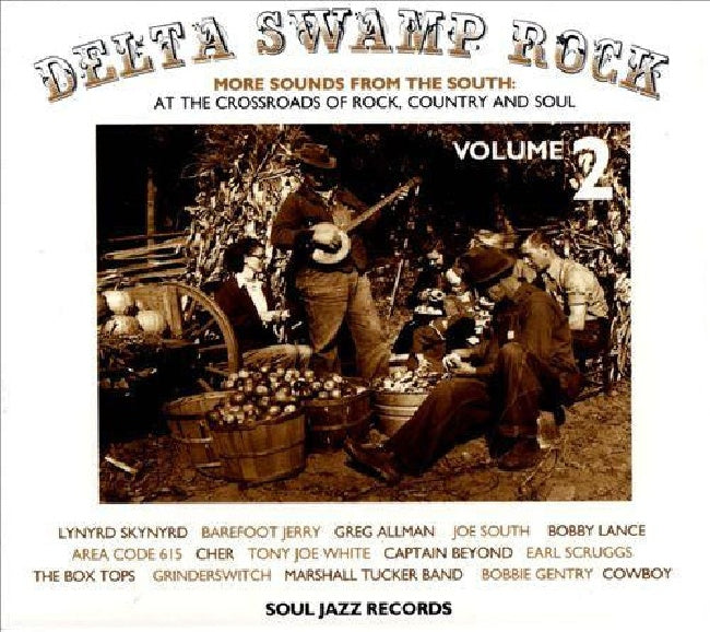 Various - Delta swamp rock 2 (CD)