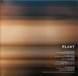 Nynke Laverman - Plant (LP)