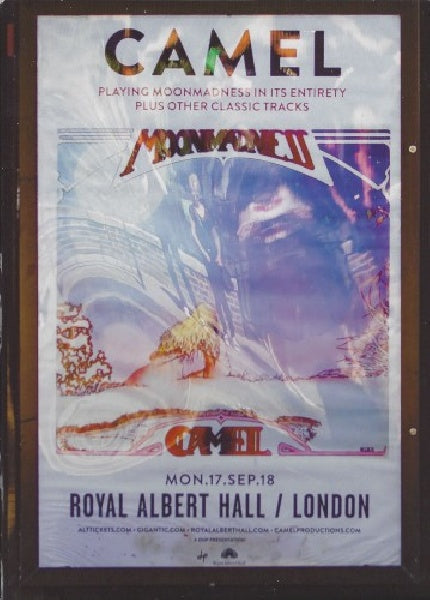 Camel - At the royal abert hall (blu ray movie)