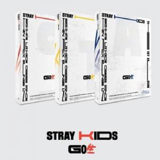 Stray Kids - Go live (CD)