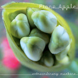 Fiona Apple - Extraordinary machine (CD)