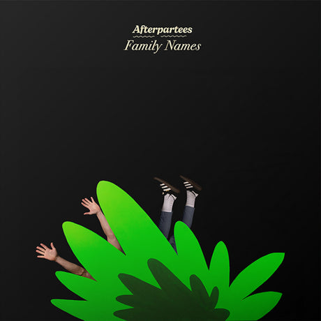 Afterpartees - Family names (LP) - Velvet Music