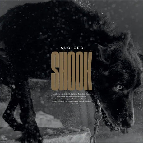 Algiers - Shook (LP) - Velvet Music