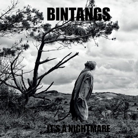 Bintangs - It's a nightmare (CD)