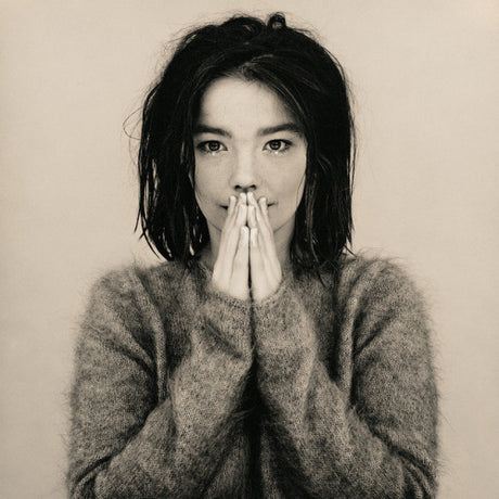 Bjork - Debut (LP) - Velvet Music