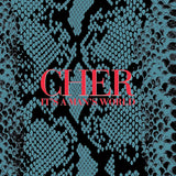 Cher - It's a man's world (LP)