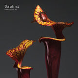 Daphni - Fabriclive 93 daphni (CD)