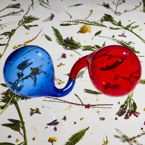 Dirty Projectors - Lamp lit prose (CD)