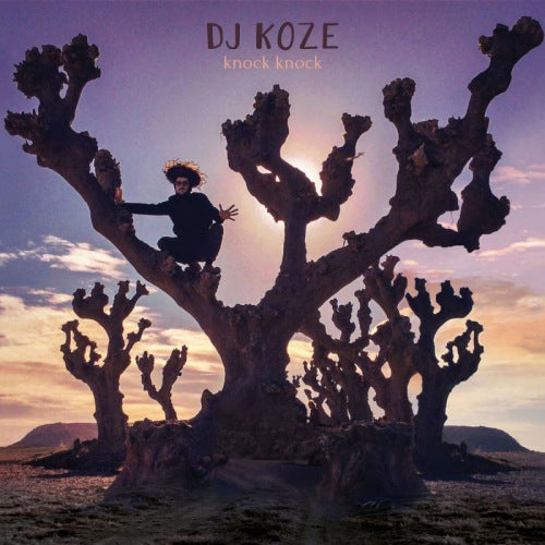 Dj Koze - Knock knock (CD)