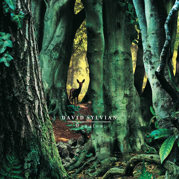 David Sylvian - Manafon (LP) - Velvet Music