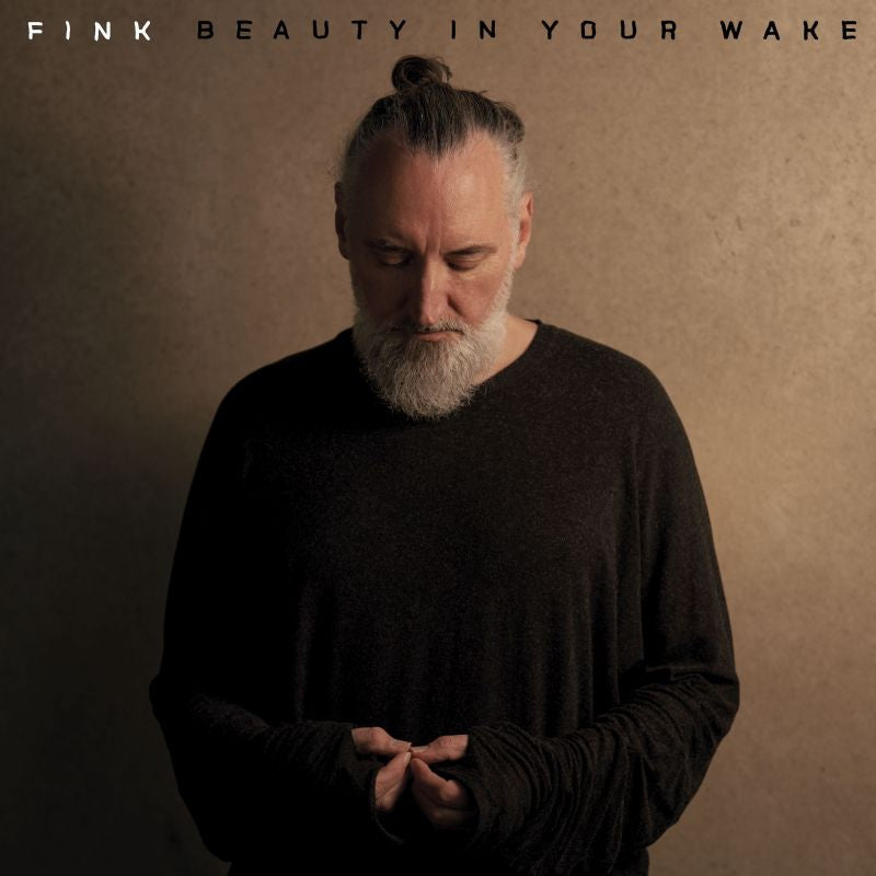 Fink - Beauty in your wake (CD)