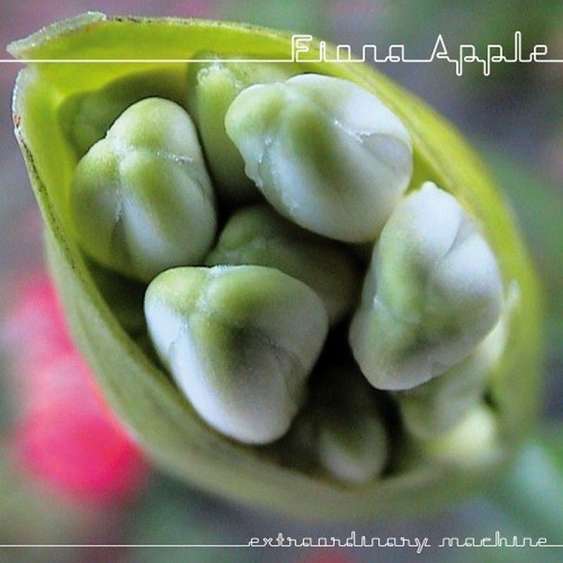 Fiona Apple - Extraordinary machine (CD)