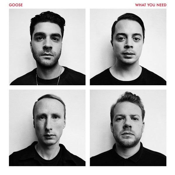 Goose - What you need (LP)