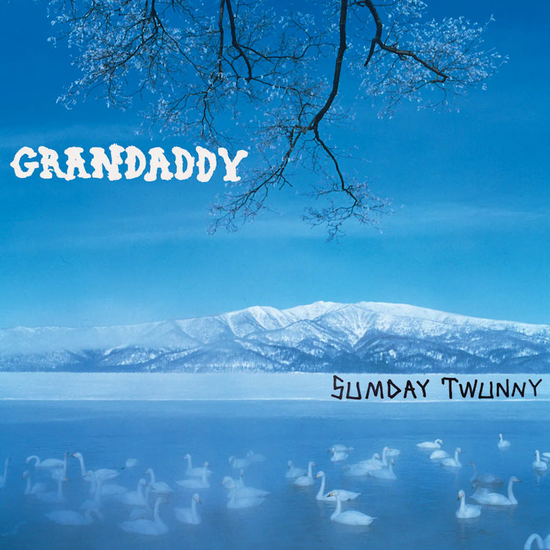 Grandaddy - Sumday twunny (LP)