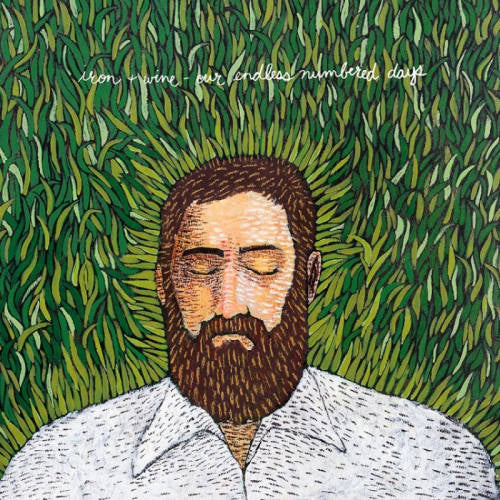 Iron &amp; Wine - Our endless numbered days (CD)