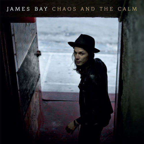 James Bay - Chaos and the calm (LP) - Velvet Music