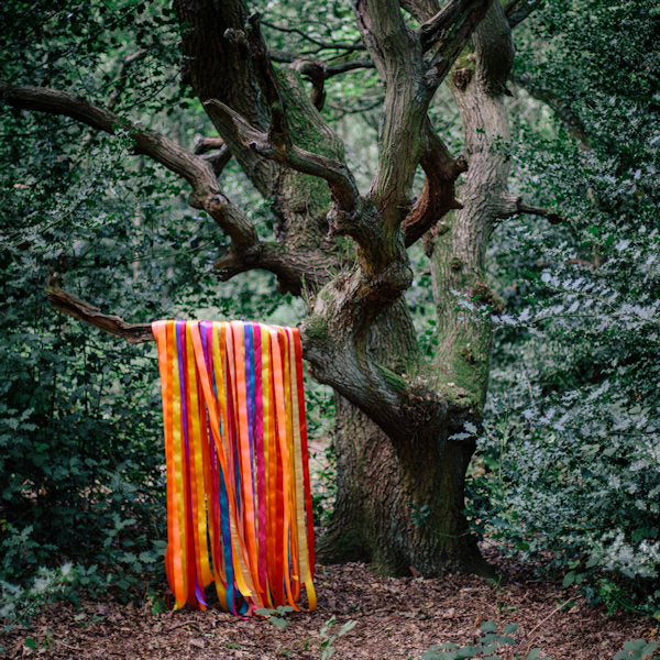 James Holden & The Animal Spirits - The animal spirits (CD)