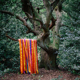 James Holden & The Animal Spirits - The animal spirits (CD)