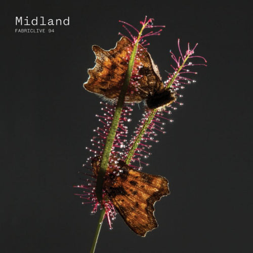 Midland - Fabriclive 94 midland (CD)