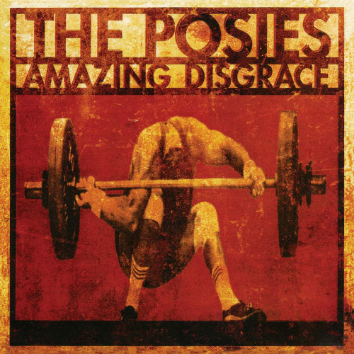 Posies - Amazing disgrace (LP)