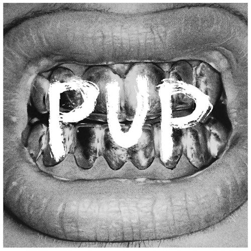 Puppy - Puppy (LP)