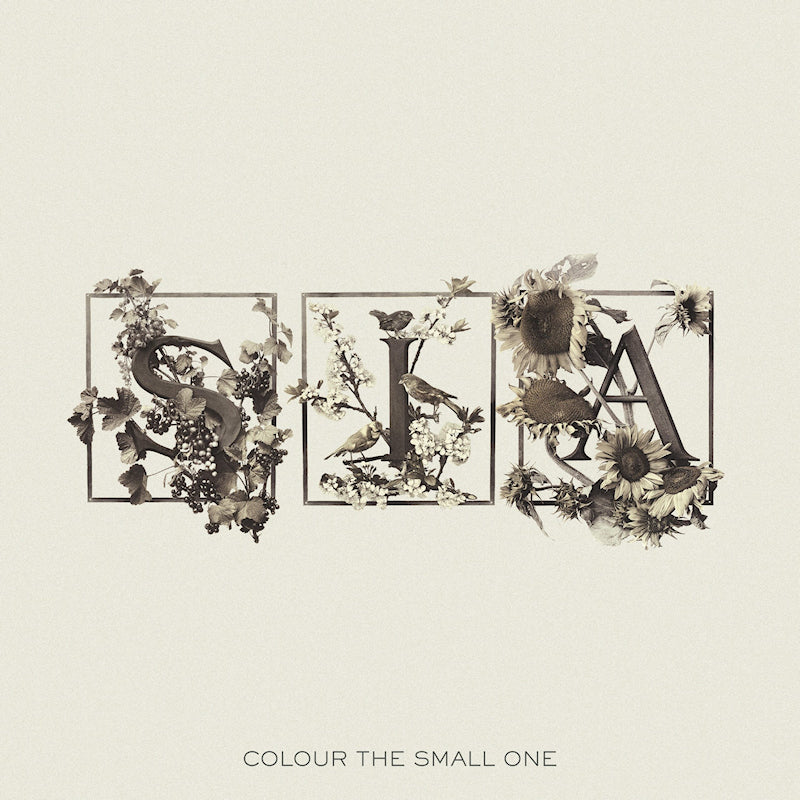 Sia - Colour the small one (CD)