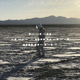 Spiritualized - And nothing hurt (CD)