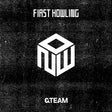 &TEAM - First Howling: NOW (CD)