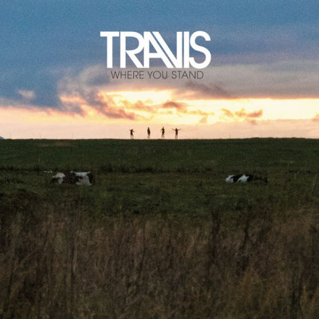 Travis - Where you stand (LP)