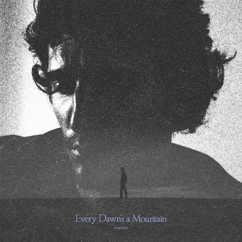 Tamino - Every Dawn's A Mountain | Black and Silver Marble (LP)