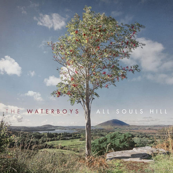 Waterboys - All souls hill (CD)