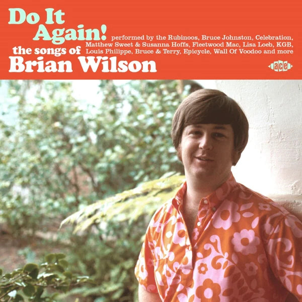 V/A (Various Artists) - Do it again! the songs of brian wilson (CD)