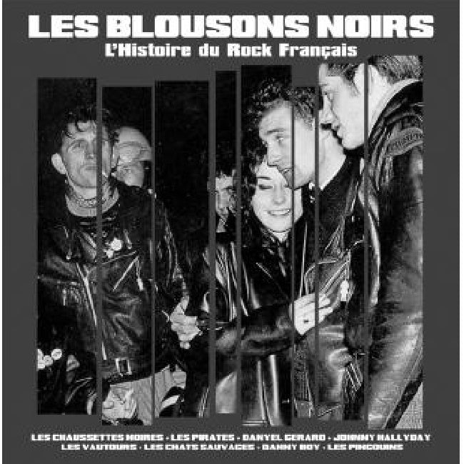 Various - Les Blousons Noirs - L'Histoire Du Rock Français (LP)