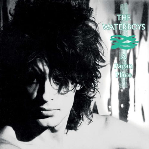 Waterboys - A pagan place (LP)