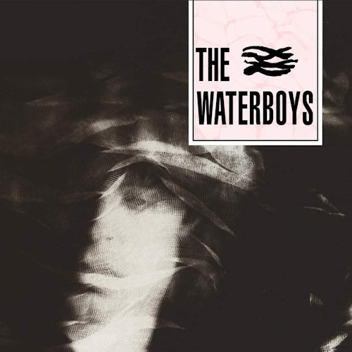 Waterboys - Waterboys (CD)