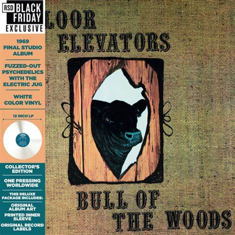 13th Floor Elevators - Bull of the woods (LP)