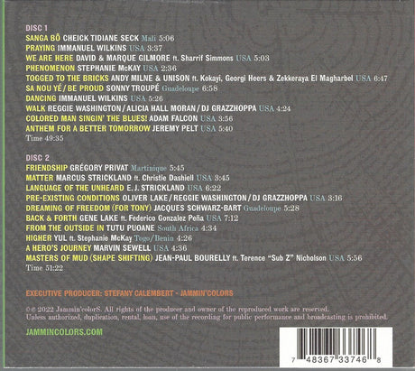 Various - Black Lives - From Generation To Generation (tweedehands CD)